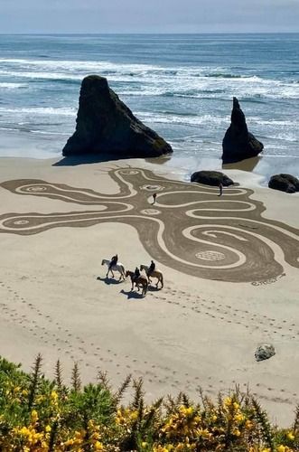 Circles in the Sand (See Dates & Times) - Apr 26, 2024 to Aug 23, 2024 - Events | Visit Bandon | Southern Oregon Coast | Travel & Events Things To Do In Cannon Beach Oregon, Weekend Beach Trip, Oregon Dunes National Recreation Area, Chamber Events, Bandon Oregon, Oregon Cannon Beach, Short Sand Beach Oregon, Oregon Trip, Neskowin Beach Oregon