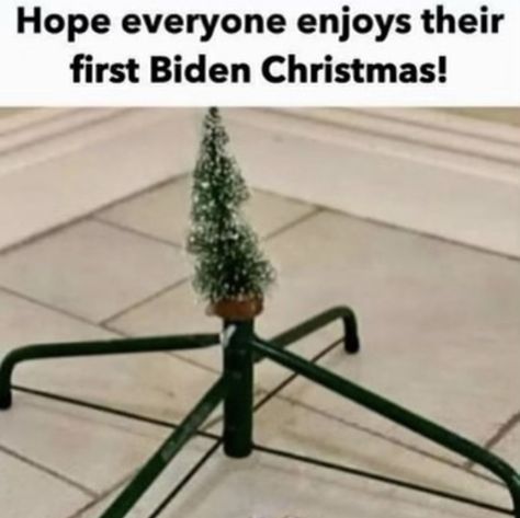 Miniature Photography, Funny Birthday Cakes, Christmas Memes, Weird Images, Christmas Mood, Christmas Quotes, Really Funny Pictures, Holiday Decor Christmas, 1st Christmas