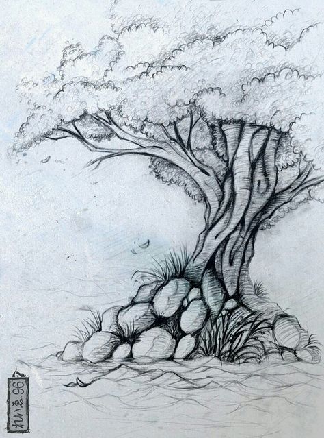 \\ Desii_Grace // Tree Study Drawing, Sketchbook Fillers, Drawing Trees, Tree Tattoos, Tree Drawings Pencil, Tree Sketches, Tree Images, Nature Drawing, Landscape Drawings