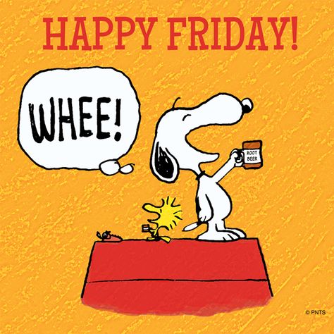 Happy Friday! Snoopy Friday, Happy Friday Pictures, Friday Images, Good Morning Happy Friday, Good Morning Friday, Happy Friday Quotes, Snoopy Funny, Seal Team, Snoopy Images