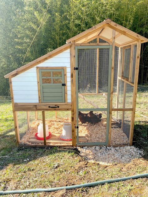 Bantam Chicken Coop, Silkie Coop, Building A Chicken Run, Chicken Enclosure, Bantam Chicken, Chicken Coop Ideas, Quail Coop, Chicken Shed, Bantam Chickens