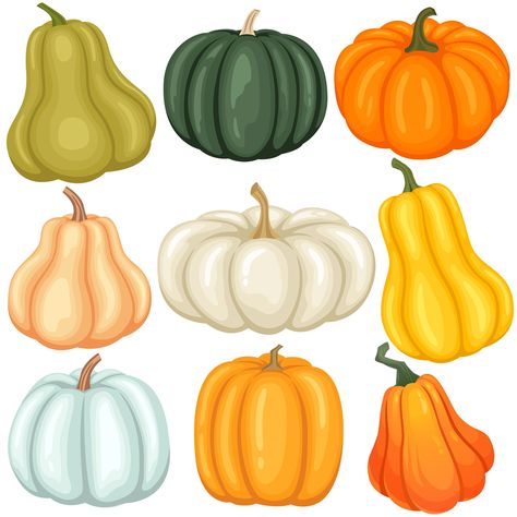 PRICES MAY VARY. Pumpkin Bulletin Board Decoration: You will get 45 pieces pumpkin cutouts for bulletin board decor, 9 styles, each style contains 5 pieces, package come with 100 pieces glues for easy apply, sufficient quantity and enough glues can satisfy your decoration needs. Pumpkin Theme Decor: Designed with different styles and colors pumpkins, fit for fall, autumn, thanksgiving and harvest party decorations, or many pumpkin theme party decoration. Great for decorating walls, classroom, bu Different Colored Pumpkins, Autumn Classroom Decorations, Harvest Party Decorations, Classroom Wall Displays, Fall Cutouts, Bulletin Board Decoration, Pumpkin Shapes, Colored Pumpkins, Thanksgiving Party Decor