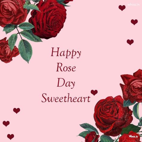 Happy Rose Day Pictures HD , Happy Rose Day 2023 Imgs Happy Rose Day Bestie, Heart Photos, Happy Rose Day, 15 August Photo, Rose Day, Real Love Quotes, Day Pictures, 15 August, Best Background Images