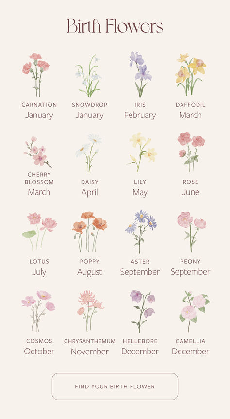 You probably know your zodiac sign…but do you know your birth flower? May September October Flower Tattoo, September And November Flower Tattoo, August Flower Tattoo, December Flower, November Flower, August Flowers, June Flower, October Birth Flowers, July Birth Flower