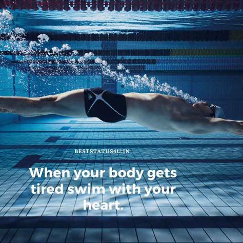 [51+] Best Quotes for Swimming Lovers | (Inspiring) :- Swim Status Swimming Pool Quotes, Pool Quotes, Best Captions, I Love Swimming, Lovers Quotes, Cool Captions, Love Funny, Awesome Quotes, Quotes In Hindi