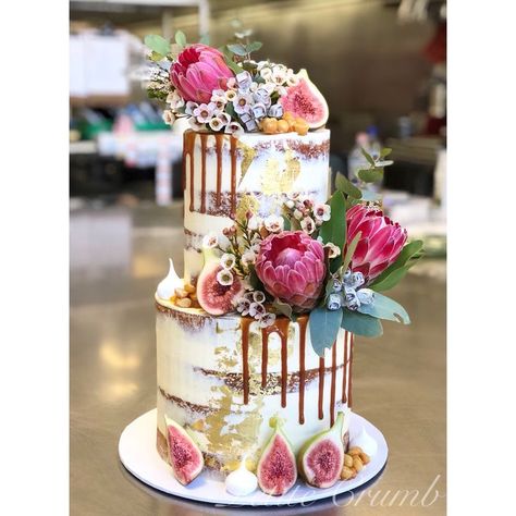 Two tier wedding cake Wedding Cake With Protea Flower, Native Flower Wedding Cake, Native Wedding Cake, Protea Wedding Cake, Semi Naked Wedding Cake With Flowers, Wedding Cake Protea, Wedding Cake Two Tier, Two Tier Wedding Cake, Semi Naked Cake