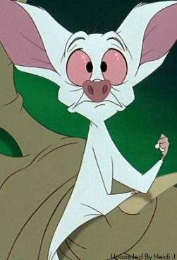 Bartok: Then we KILL her?! What happened to the party idea? Rasputin: That's where we kill her. Crush her at the height of her glory! Bartok: Now we're back to the crushing. Sir, I'm begging you. Forget the girl and get a life! Anastasia Characters, Bartok The Bat, Best Fall Movies, Bjj Memes, Anastasia 1997, Anastasia Movie, Monster Squad, Bat Art, Evil Villains