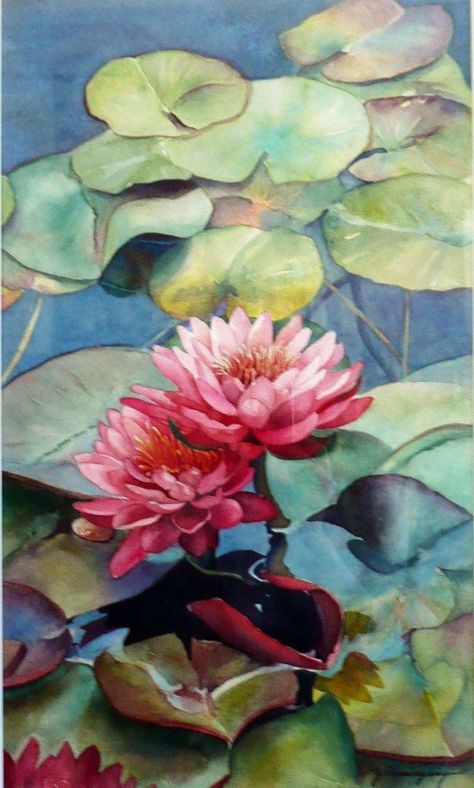 Watercolor of Waterlilies--artist Yvonne Hemingway. Lovely!! Geometry Sketch, Lotus Geometric, Lotus Painting, Pink Lotus, 수채화 그림, Lotus Flowers, Watercolor Flowers Paintings, A Pond, Flower Art Painting