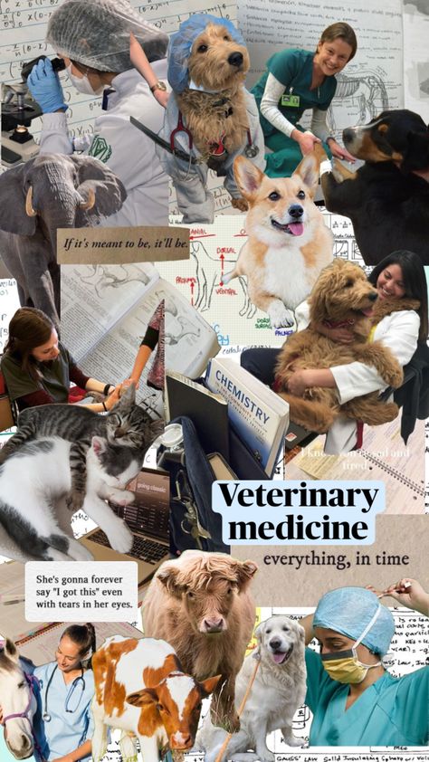 #myfirstshuffle #vetmed #animals #dogtor #quotes Veterinarian Aesthetic Wallpaper Iphone, Vetmed Wallpaper, Vet Collage, Vet Student Aesthetic Wallpaper, Vet Tech Wallpaper, Vetmed Aesthetic, Veterinarian Aesthetic Wallpaper, Veterinary Wallpaper, Veterinary Medicine Aesthetic