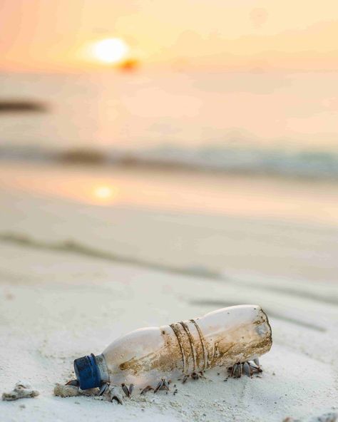 Beach Pollution, Lab Created Diamond Rings, Earth Photos, Ocean Day, Focus Photography, Oceans Of The World, Plastic Pollution, Which Is Better, Unique Gifts For Women