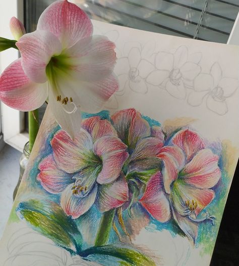 By Flowerinna Drawing Ideas Aesthetic Flowers, Flower Drawing Color Pencil, Flower Colored Pencil, Color Pencil Illustration, A Level Art Sketchbook, Sketchbook Art Journal, Art Painting Gallery, Dark Art Drawings, Art Drawings Sketches Creative