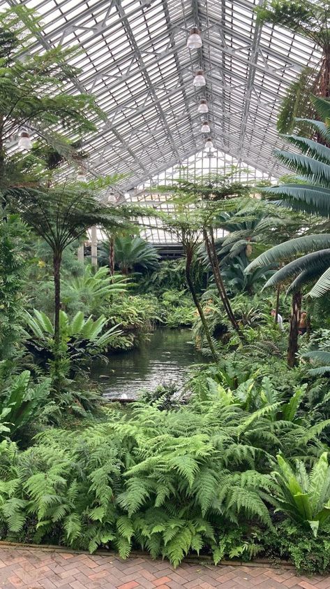 Garfield Park Conservatory Glass House Garden, Garfield Park Conservatory, Landscape Design Drawings, Sensory Garden, Fine Gardening, Garden Tours, Nature Garden, Forest Park, Garden Photos