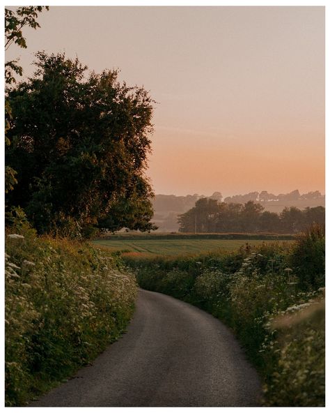 Country lanes and golden hour in the English countryside 🍃 #countrylane #countryside #englishcountryside #britishcountryside #countrysidelife #countrysidewalks #countrysidephotography rural life, rural England #ukcountryside #rural #rurallife #ruralphotography #ruralliving #ruralengland English Country Lanes, English Country Life, Uk Countryside, Countryside Photography, Rural England, Rural Photography, England Countryside, Rural Living, British Countryside