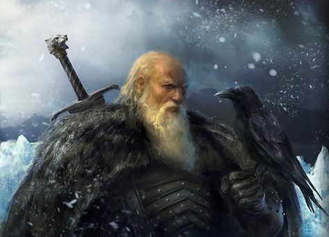 Fantasy Flight Games [News] - A Game of Thrones: The Card Game Second Edition Jeor Mormont, Game Of Thrones Books, Asoiaf Art, Black Birds, Nights Watch, Jaime Lannister, Gra O Tron, Game Of Thrones Art, Game Of Thrones Fans