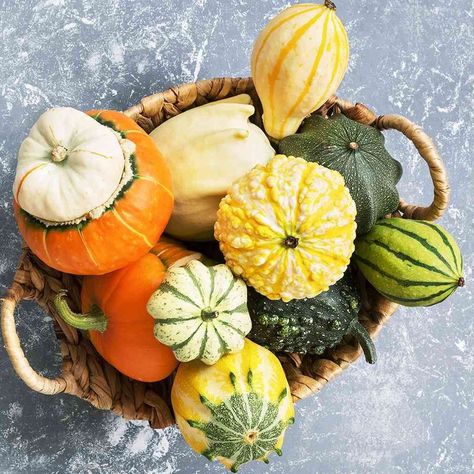 These are the best winter squash varieties for cooking and baking. From acorn to turban squash and everything in between, learn the taste, uses, and best cooking methods for each type of winter squash. #foodhacks #kitchenhacks #lifehacks #marthastewart #recipehacks Turban Squash, Seal Harbor Maine, The Lost Kitchen, Winter Squash Varieties, Lost Kitchen, Stuffed Vegetables, Autumn Things, Entertaining Dinner, Cut Butternut Squash