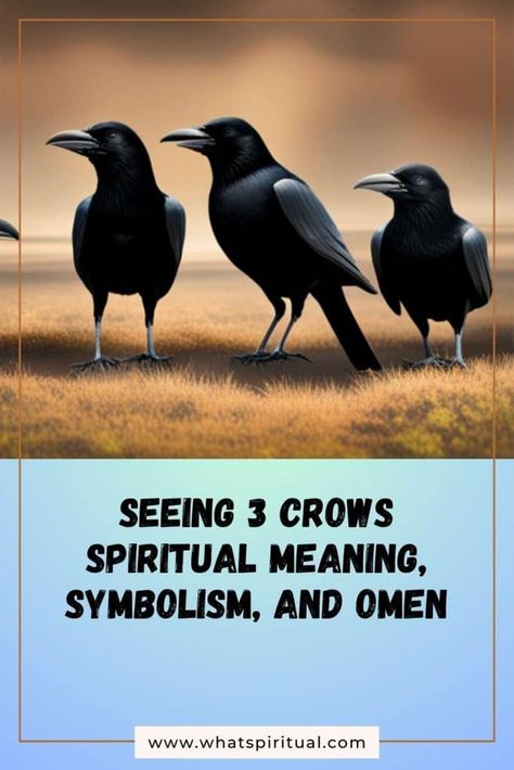 Seeing 3 Crows Spiritual Meaning, Symbolism, and Omen | What Spiritual Three Crows Meaning, 3 Crows Spiritual Meaning, 3 Crows Meaning, Raven Spiritual Meaning, Crow Spiritual Meaning, Meaning Of Crows, Crow Meaning, Crow Facts, Crow Spirit Animal