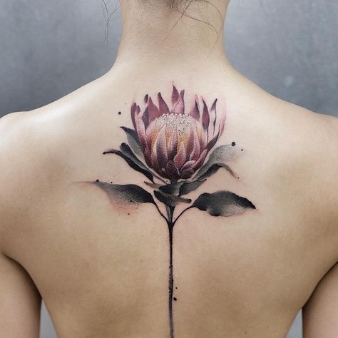 #protea #tattoos #tattooed #tattooistartmag #thebesttattooartists #watercolortattoo #tattooartmagazine #art #beijing #ink #tattoos… Protea Flower Tattoo, Flower Tattoo Meaning, Flower Spine Tattoos, Flower Tattoo Meanings, Native Tattoos, Protea Flower, Inspiration Tattoos, Traditional Tattoo Design, Tattoo Meaning