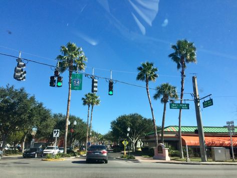 Zephyrhills Florida, Utility Pole, Mood Board, Florida, Travel, Quick Saves