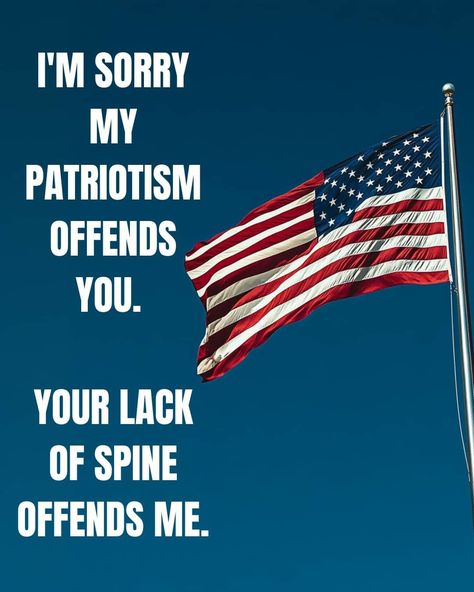 Patriotic Quotes, I Love America, Catch Phrase, Speak The Truth, God Bless America, Quotable Quotes, Great Quotes, Feel Good, Funny Pictures