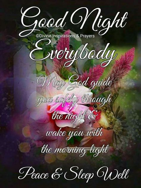 Night Blessings Quotes, Good Night Everybody, Good Night Blessings Quotes, Goodnight Quotes Inspirational, Good Night Qoutes, Blessings Quotes, Blessed Night, Beautiful Good Night Quotes, Good Night Love Messages