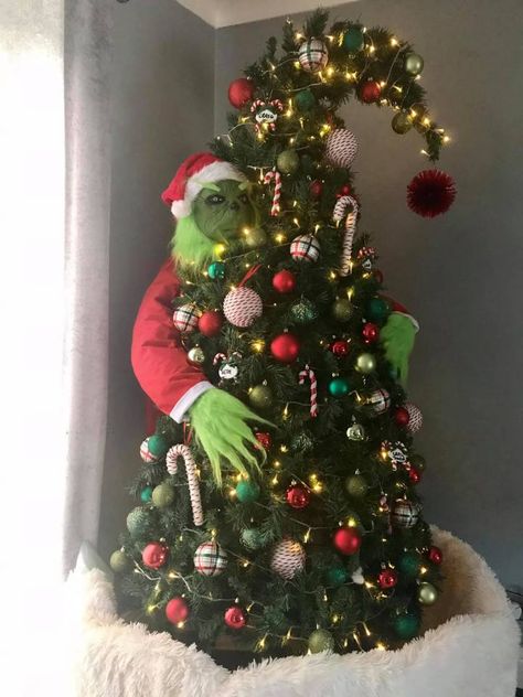 Mum creates Grinch Christmas tree for just £35 using B&M & Asda bargains Upside Down Christmas Tree, Christmas Tree Bulbs, Grinch Trees, Grinch Decorations, Christmas Pickle, Whoville Christmas, Grinch Christmas Tree, Grinch Christmas Decorations, Christmas Tree Sale