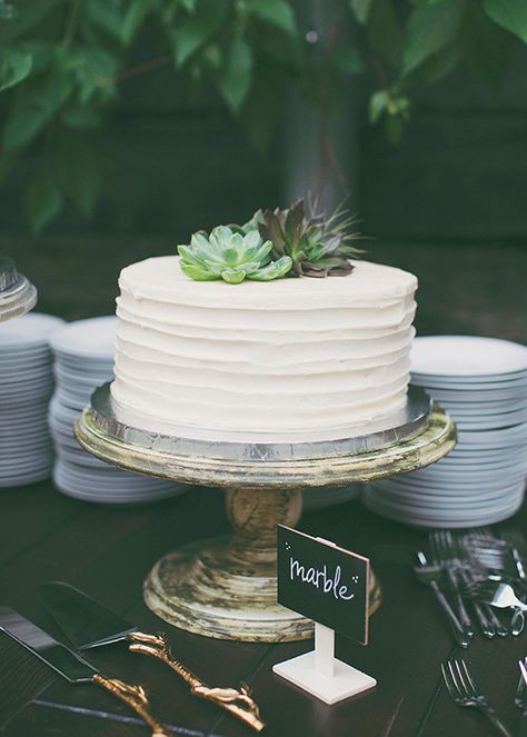 Simple White Wedding Cake, 28th Birthday Cake, Simple White Wedding, Succulent Wedding Cakes, 17 Birthday Cake, Succulent Cake, Organic Photography, White Birthday Cakes, Confirmation Cakes