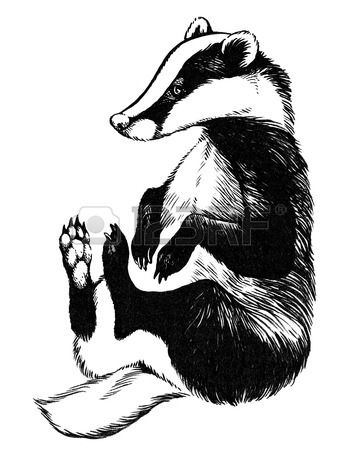 Badger Tattoo, European Badger, Badger Illustration, Honey Badger, Tattoo Illustration, Forest Creatures, Animal Sketches, Native American Art, 로고 디자인