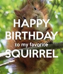 Happy Birthday Squirrel, Birthday Squirrel, Funny Squirrel Pictures, Squirrel Illustration, Secret Squirrel, Squirrel Pictures, Squirrel Art, Birthday Greetings Friend, Squirrel Funny