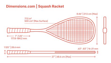 A Squash Racket, also referred to as Squash, is used to play the sport of Squash based on striking a ball towards the walls of the interior court. Squash rackets are typically made of boron, Kevlar, graphite, or titanium. Squash rackets are similar to a tennis racket in appearance, but vary in size and weight. Downloads online #sports #squash Squash Sport, Squash Rackets, Tennis Posters, Vintage Tennis, Sport Illustration, Fitness Nutrition, Tennis Racket, Tennis