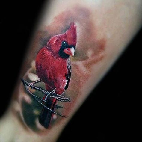 60 Cardinal Tattoo Designs Cardinal Tattoo Ideas, Cardinal Bird Tattoos, Red Cardinal Tattoos, Red Bird Tattoos, Cardinal Tattoo, Cardinal Tattoos, Vogel Tattoo, Branch Tattoo, Bird Tattoos