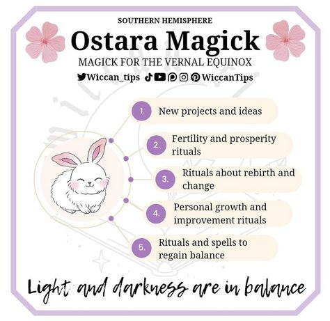 Witch's Calendar, Eostre Goddess, Spring Equinox Ritual, Ostara Ritual, Witches Wheel, Witchcraft Tarot, Wiccan Sabbats, Pagan Festivals, Nature Witch