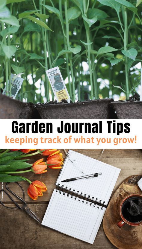 Keep track of your garden! Design creative garden journal pages or use computer software. Here are some garden journal ideas and record keeping tips to try. Garden Journal Ideas, Gardening Journal Printables, Garden Journal Template, Gardening Planner, Garden Notebook, Raised Gardens, Garden Diary, Plant Journal, Garden Hacks