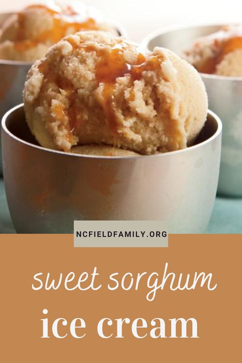 Sorghum Syrup Recipes, Natural Syrup, Sorghum Recipes, Sorghum Syrup, No Dairy Recipes, Sweet Summer, Summer Treats, Ice Cream Recipes, Sweets Treats