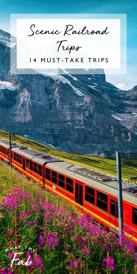 If you're looking for a unique way to travel, check out these scenic railroad trips. From cross-country voyages to one-day excursions, train tours are an efficient and memorable way to explore new locales. Click the pin to check out these railroad trips that offer unique perspectives on epic worldwide destinations.   scenic railroads, scenic railway, railroad trip Train Trips In The Us, Cross Country Train Trip, Best Beaches In Maui, Train Vacations, Europe By Train, Train Adventure, Travel By Train, Australia Itinerary, Train Trips