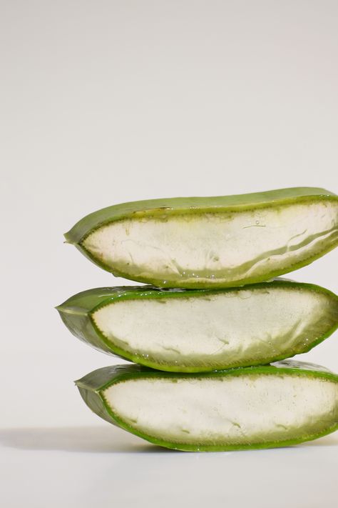 This just makes aloe vera leaves look so soothing! Styled by Megan Powell Aloe Product Photography, Aloe Vera Aesthetic, Aloe Aesthetic, Natural Aloe Vera, Hair Rinse, Aloe Leaf, Benzoic Acid, Aloe Vera Leaf, Aloe Vera Extract