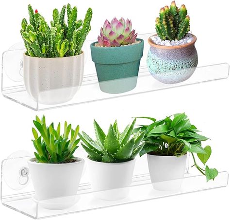 Amazon.com: 2 Pack Suction Cup Shelf for Plants Window, 12 Inch Acrylic Window Sill Extender for Plants, Window Plant Shelves, for Succulent Planters, Herb Pots, Indoor Plants : Patio, Lawn & Garden Window Sill Extender, Window Plant Shelves, Window Sill Plants, Window Shelf For Plants, Shelf For Plants, Planter Shelf, Plants Window, Window Plant Shelf, Windowsill Plants