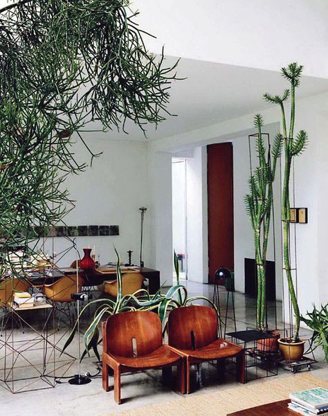 Lots Of Plants, Tanaman Indoor, 아파트 인테리어, Interior Plants, Hem Design, Style At Home, Home Fashion, Indoor Garden, 인테리어 디자인