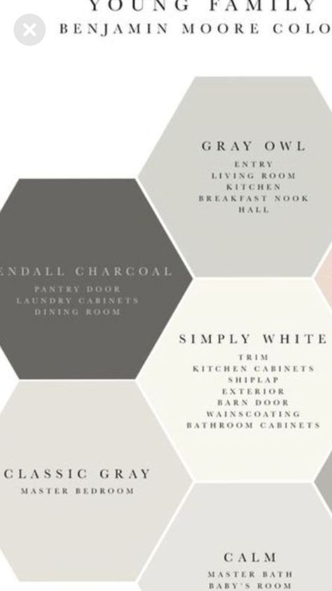 House Paint Colors, House Color Palettes, Fixer Upper Style, Benjamin Moore Colors, House Color Schemes, Grey Color Scheme, Trendy Living Rooms, Colors For Home, Room Paint Colors