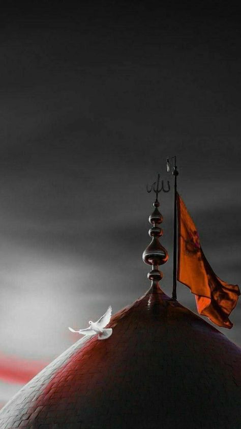 Karbala Photos, Muharram Wallpaper, Eid Card Designs, Imam Hussain Wallpapers, Beautiful Wallpapers For Iphone, Karbala Photography, Islamic Artwork, Islamic Paintings, Islamic Posters