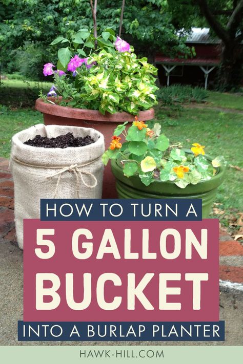 Home Depot Bucket Planter, Bucket Planters 5 Gallon, 5 Gallon Bucket Planter Ideas, Raised Container Garden, Five Gallon Bucket, Big Planters, Growing Vegetables In Pots, Cheap Plants, Coffee Sack