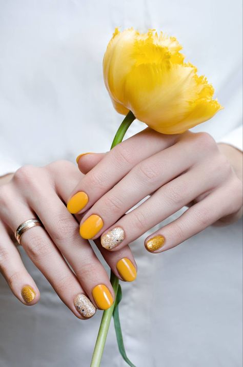 Pedicure Services, Reading City, Nail Salon And Spa, Tropical Nails, Soothing Music, Foot Spa, Nails Spa, Best Spa, Nail Spa