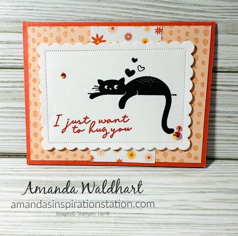 Stampin Up Love Cats, Crazy Cats Cards, Stampin Up Valentine Cards, Panda Card, Cat Stamp, Valentine Cards Handmade, Stamp Carving, Little Cat, Dog Cards