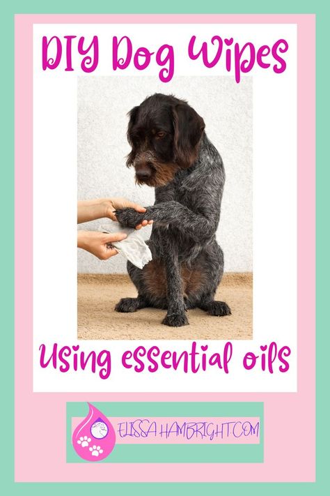 Dog Wipes Diy How To Make, Diy Dog Wipes Cleaning, Diy Dog Wipes, Dog Paw Remedies, Dog Baths, Keep A Clean House, Dog Wipes, Diy Dog Shampoo, Wipes Diy