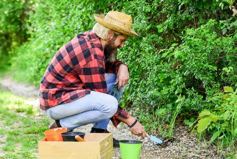 Natural Fencing, Thornless Roses, Indoor Jasmine, Big Gardens, Lily Varieties, Trumpet Plant, Petunia Care, Rooting Plants, Canna Lilies