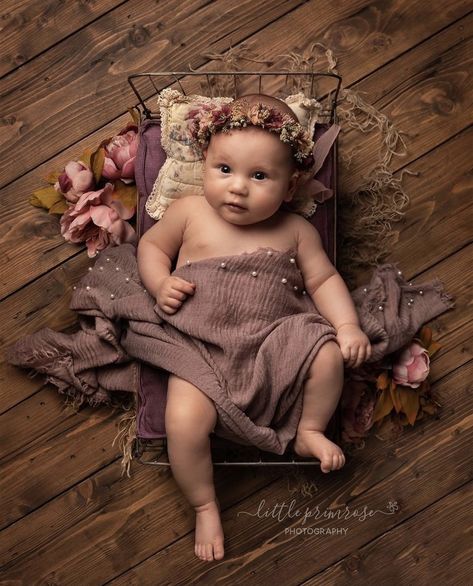 Two Month Photoshoot Ideas, 3 Month Girl Photoshooting Ideas, 3 Month Old Photography, Baby Girl 3 Month Shoot, 2 Month Old Photo Shoot Posing Ideas, 6 Month Old Picture Ideas, 1 Month Old Baby Photoshoot, 3 Month Old Milestones Pictures, 3 Month Old Pictures