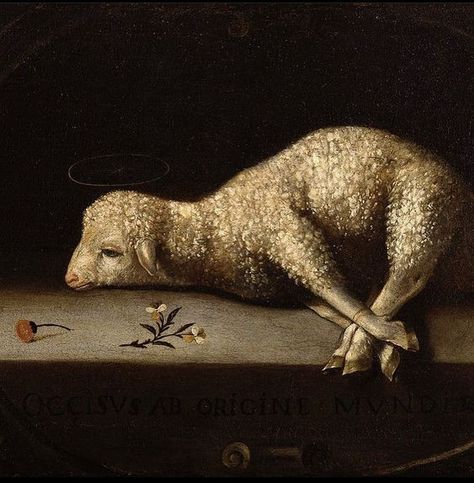 Sacrificial Lamb, Art Amour, Yennefer Of Vengerberg, Rennaissance Art, Southern Gothic, A Sheep, Arte Inspo, Caravaggio, Ethereal Art