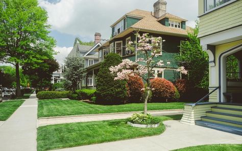 Ditmas Park, which sits in the middle of Brooklyn and feels more like a quaint suburb that just happens to be in the middle of the hustle and bustle of the city, is the best place to live in NYC, according to MONEY. Honeycomb Architecture, New York Suburbs, Luxury Neighborhood, New York Houses, Zombie Pop, Book Planning, Best Place To Live, Garden Basket, Places In New York