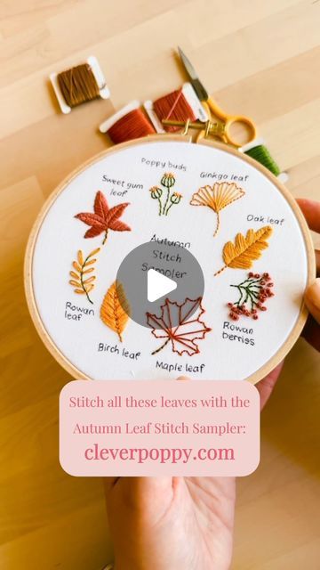 Julie Stuart ⋒ on Instagram: "Stitch 8 of your fav Autumn leaves including maple leaf, ginkgo leaf and poppy buds in our new Autumn Leaf Stitch Sampler! 🍁🍂  Which leaf is your fav? Let us know in the comments below 👇  Grab your kit while stocks last: cleverpoppy.com 💕  #embroidery #modernembroidery #DIY #beginnerembroidery #crafts" Maple Leaf Embroidery Design, Hand Embroidery Leaf Design, Fall Leaf Embroidery, Maple Embroidery, Poppy Buds, Maple Leaf Embroidery, Leaf Stitch, Sweet Gum, Birch Leaf