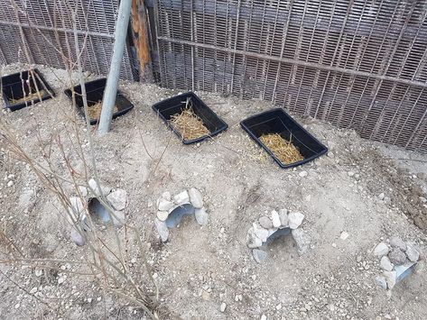 Underground rabbit colony burrows Diy Rabbit Burrow, Rabbit Colony Ideas, Wild Rabbit Shelter, Rabbit Colony Pens, Meat Rabbits Housing, Rabbit Burrow, Rabbit Colony, Multiple Rabbit Housing, Rabbit Playground