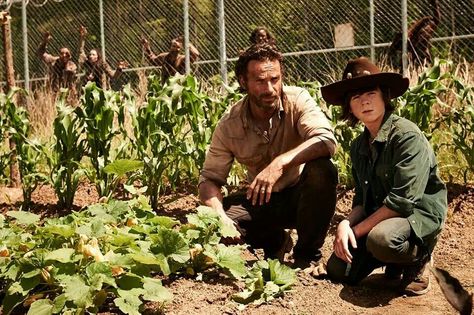 Nice garden! Twd Visuals, Twd Pictures, Rick And Carl, Carl The Walking Dead, Zombies The Walking Dead, Walking Dead Tv Series, Bloc Party, Fall Tv, The Walking Dead Tv